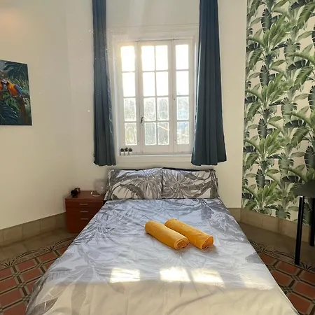 게스트하우스 Coliving Brasil 라스팔마스