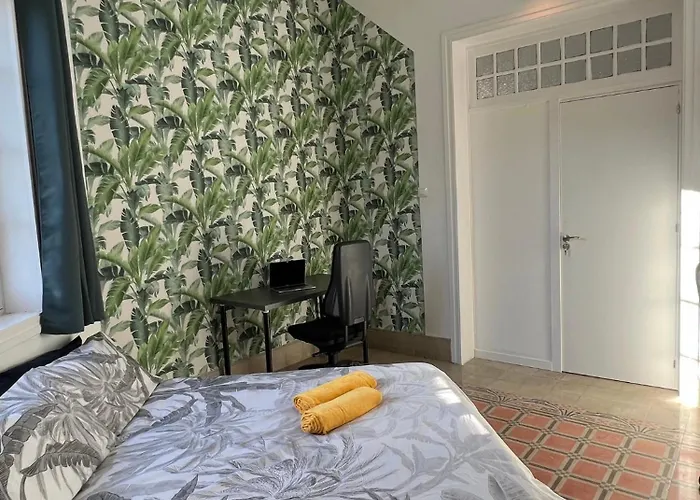 Coliving Brasil Las Palmas / Gran Canaria