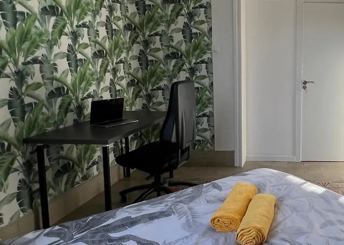 Coliving Brasil Las Palmas / Gran Canaria