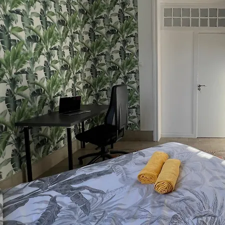 Coliving Brasil Las Palmas / Gran Canaria